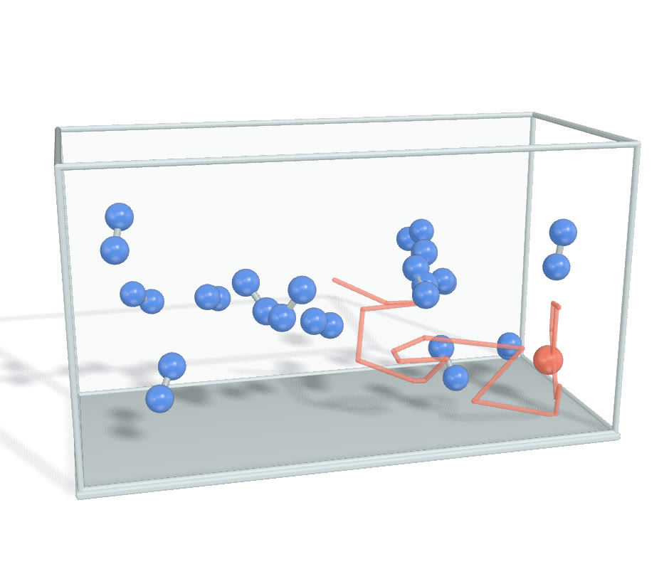 The zigzag trail of one molecule among others in a box.